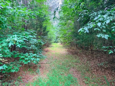If you've been looking for a place where you can get away from - photo 12