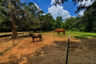 ***AFFORDABLE MINI-FARM LIVING*** The garden. The chickens - photo 13