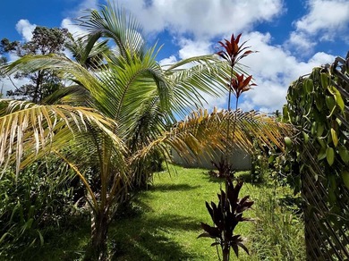 Peek-a-boo ocean view on sunny days in Ainaloa, one of East - photo 16