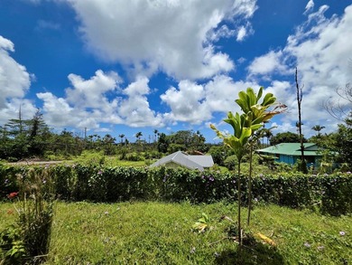 Peek-a-boo ocean view on sunny days in Ainaloa, one of East - photo 17