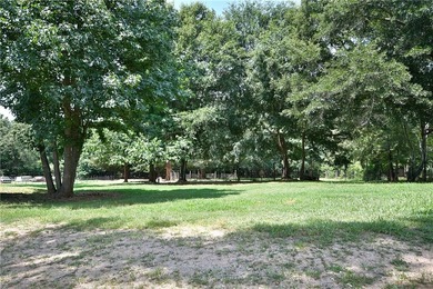 ***AFFORDABLE MINI-FARM LIVING*** The garden. The chickens - photo 41