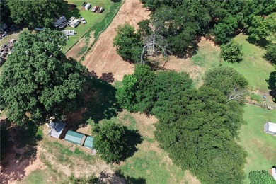 ***AFFORDABLE MINI-FARM LIVING*** The garden. The chickens - photo 44