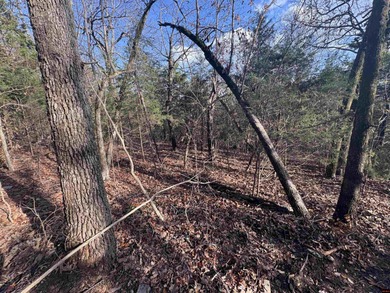 (private lake, pond, creek) Acreage For Sale in Gamaliel Arkansas