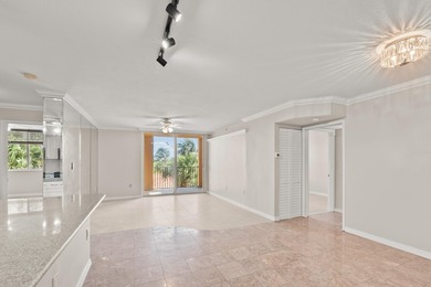 Beautiful partial intracoastal views from this 4th floor condo - photo 4