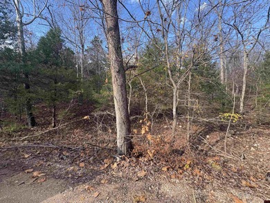 (private lake, pond, creek) Acreage For Sale in Gamaliel Arkansas