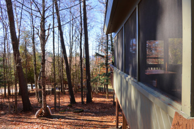 Chalet in Blue Sky Estates - photo 4
