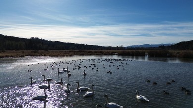 (private lake, pond, coastal) Acreage For Sale in Rochester Washington