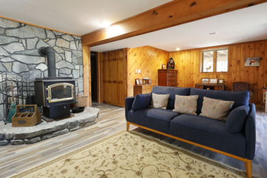 Chalet in Blue Sky Estates - photo 13