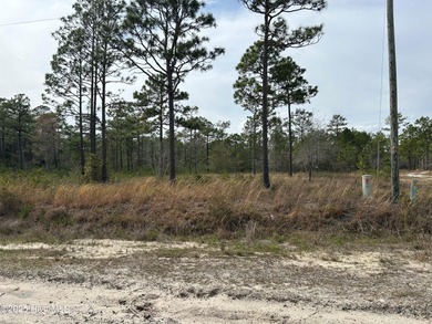 Boiling Spring Lake Lot For Sale in Boiling Spring Lakes North Carolina