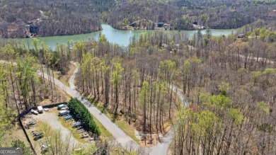 Lake Lot For Sale in Cleveland, Georgia