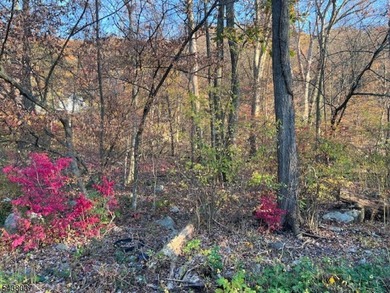 2 Lots Are Included With The Sale Old Woodland Trail & 9 Old - photo 1