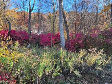 2 Lots Are Included With The Sale Old Woodland Trail & 9 Old - photo 2
