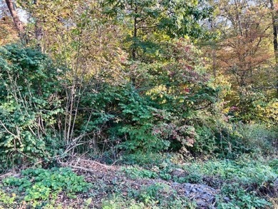 2 Lots Are Included With The Sale Old Woodland Trail & 9 Old - photo 3