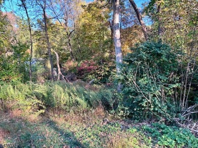 2 Lots Are Included With The Sale Old Woodland Trail & 9 Old - photo 4