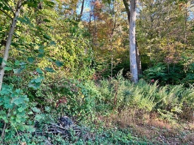 2 Lots Are Included With The Sale Old Woodland Trail & 9 Old - photo 5