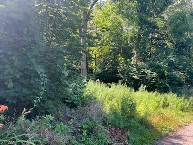 2 Lots Are Included With The Sale Old Woodland Trail & 9 Old - photo 6
