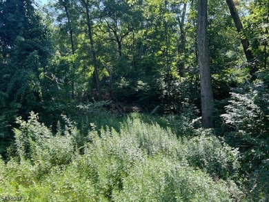 2 Lots Are Included With The Sale Old Woodland Trail & 9 Old - photo 7
