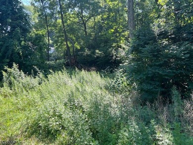 2 Lots Are Included With The Sale Old Woodland Trail & 9 Old - photo 8