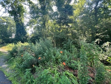 2 Lots Are Included With The Sale Old Woodland Trail & 9 Old - photo 9