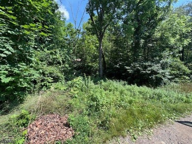 2 Lots Are Included With The Sale Old Woodland Trail & 9 Old - photo 10