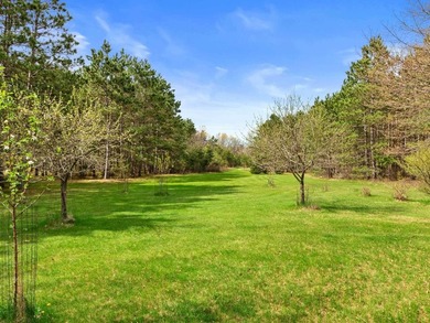 Log home on a wooded acreage in Saratoga! Majestic pines - photo 34