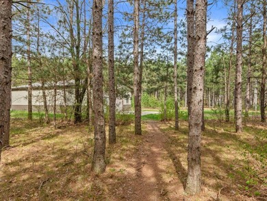 Log home on a wooded acreage in Saratoga! Majestic pines - photo 35