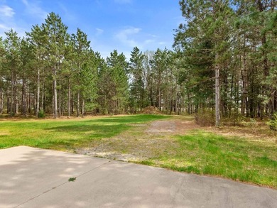 Log home on a wooded acreage in Saratoga! Majestic pines - photo 37