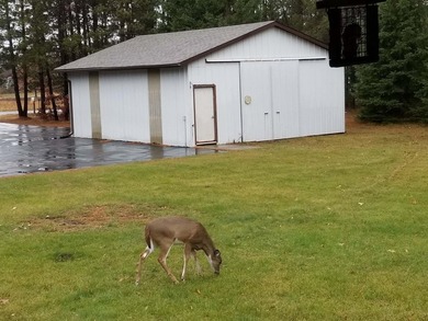 Log home on a wooded acreage in Saratoga! Majestic pines - photo 46