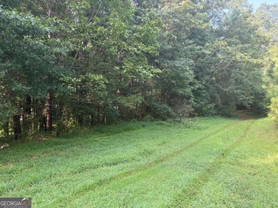 Lake Acreage For Sale in Canton, Georgia