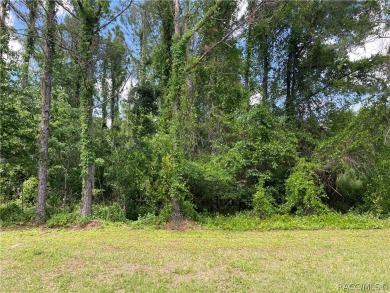 (private lake, pond, creek) Lot For Sale in Hernando Florida