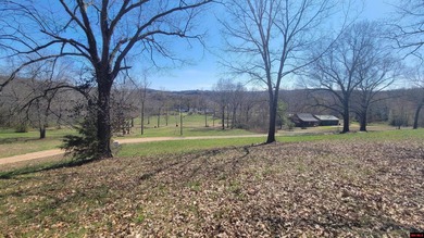White River Lot For Sale in Flippin Arkansas