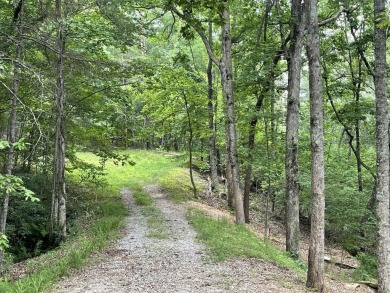 The Basin Lake Acreage Sale Pending in Jasper Georgia