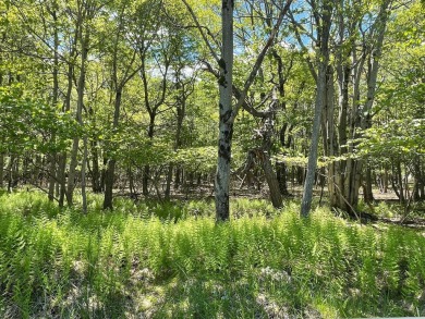 Lake Lot For Sale in Albrightsville, Pennsylvania