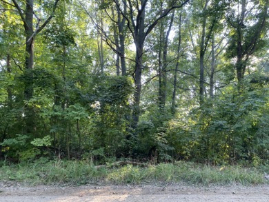 Jeptha Lake Lot For Sale in Bloomingdale Michigan