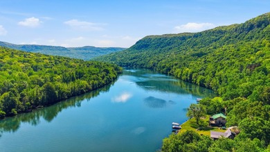 Experience true waterfront living in the heart of the Tennessee - photo 4