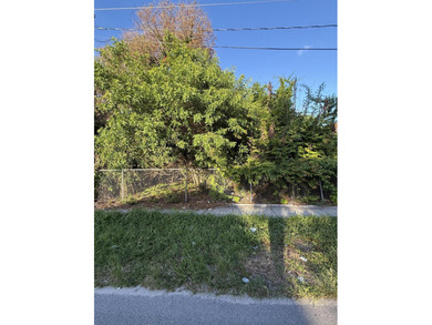 Great opportunity to own a vacant lot in Fort Pierce! This - photo 1