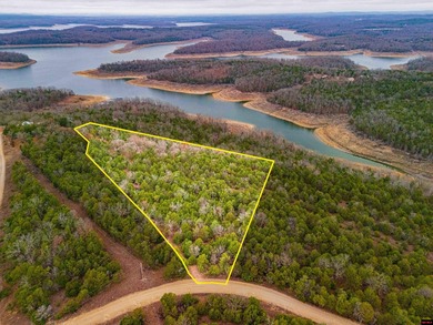 Lake Acreage For Sale in Oakland, Arkansas