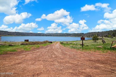 Lake Acreage For Sale in Happy Jack, Arizona