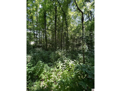 Lake Lot For Sale in Canton, Kentucky
