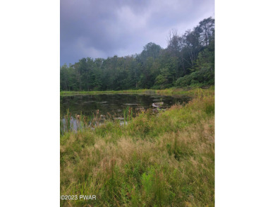 (private lake, pond, creek) Acreage For Sale in Lake Ariel Pennsylvania