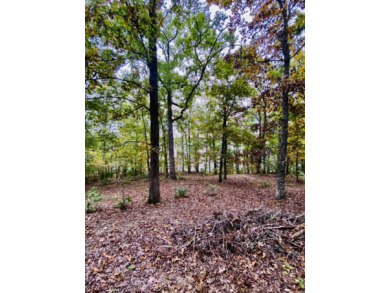 Greers Ferry Lake Lot For Sale in Bee Branch Arkansas