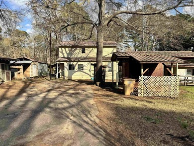 Charming property with access to beautiful Lake Cypress Springs - photo 11