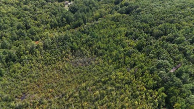 Imagine owning 79.46 acres of Maine's pristine woodland in the - photo 11