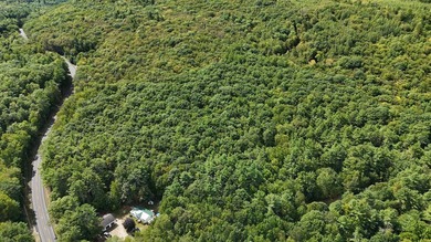 Imagine owning 79.46 acres of Maine's pristine woodland in the - photo 12