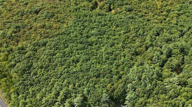 Imagine owning 79.46 acres of Maine's pristine woodland in the - photo 13