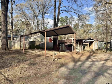 Charming property with access to beautiful Lake Cypress Springs - photo 14