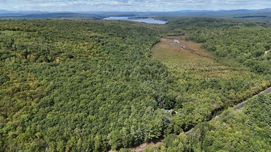 Imagine owning 79.46 acres of Maine's pristine woodland in the - photo 14