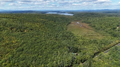 Imagine owning 79.46 acres of Maine's pristine woodland in the - photo 15