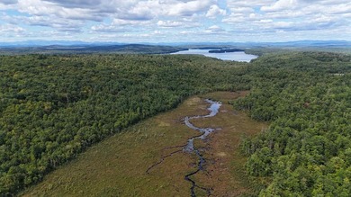 Imagine owning 79.46 acres of Maine's pristine woodland in the - photo 16