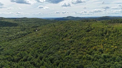 Imagine owning 79.46 acres of Maine's pristine woodland in the - photo 17
